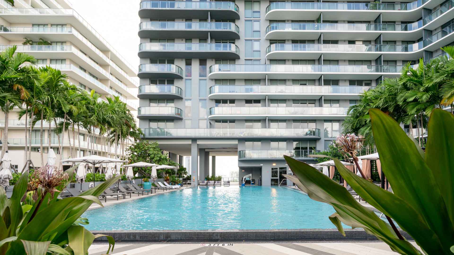 Pool below a grey high-rise building with palm trees and greenery surrounding the pool