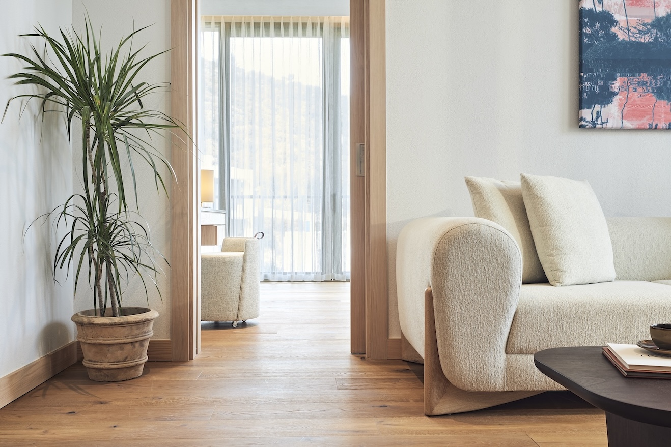 Cream sofa and coffee table with plant in the background